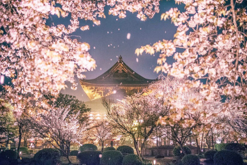inkxlenses:Tō-ji during a bright spring evening | © Manabe...