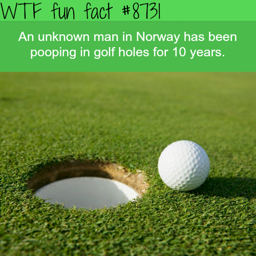 wtf-fun-factss - A mystery man has been pooping in golf holes...