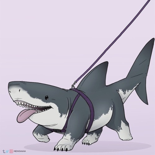 graveyardshiftie - nekoama - Some more Sharkpup babies! Mako...