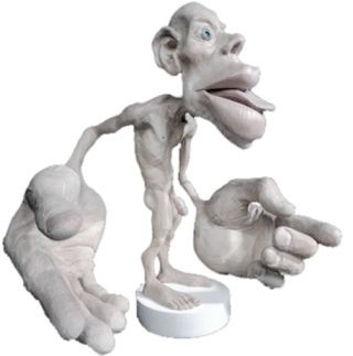 zooophagous - dimetrodone - reggiemess - So you know the cortical homunculus?Ya know, this...