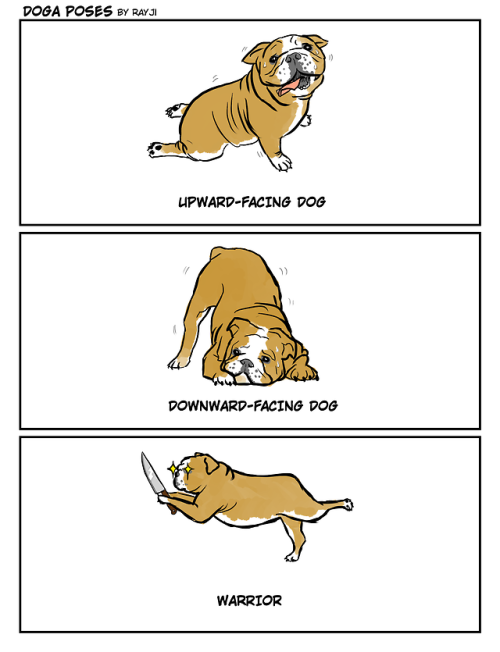 rayjinar - yoga, but with dogs