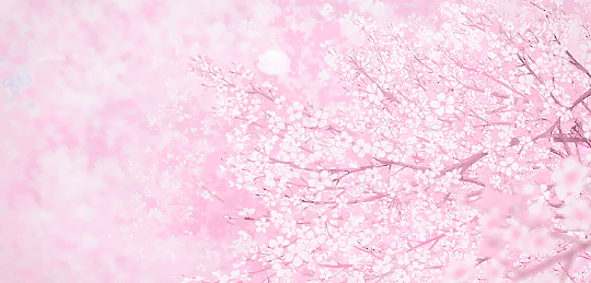 pastel pink on Tumblr
