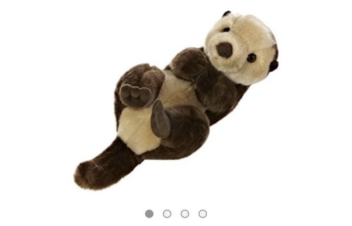 fangirltothefullest - napolibarnes - napolibarnes - so for $20 i can buy a stuffed otter AND socks...