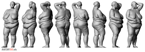 anatomy360 - Some more larger lady anatomy ref.