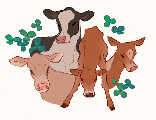old-mutt:soft cows