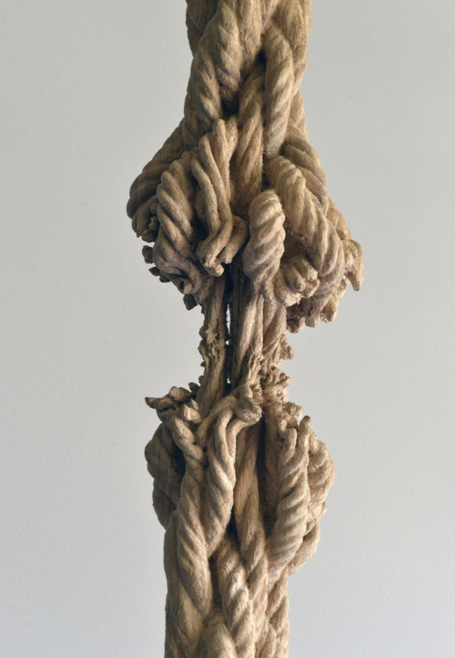thedesigndome - Artist Carves Wooden Rope Sculpture From a Tree...