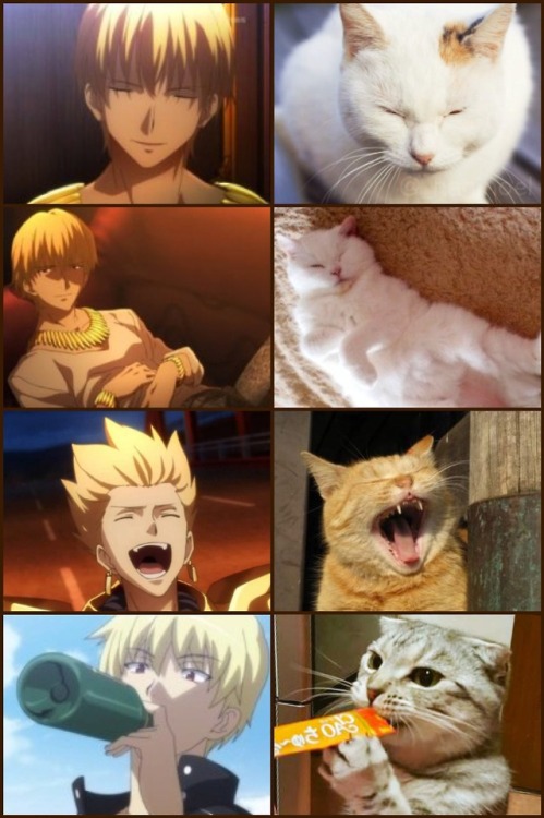 relatablepicturesofgilgamesh:(mod- I SAW THIS ON TWITTER AND...