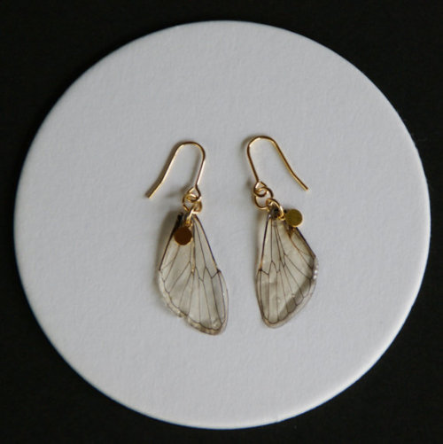 cheapetsy - cicada wing earrings // $14.79