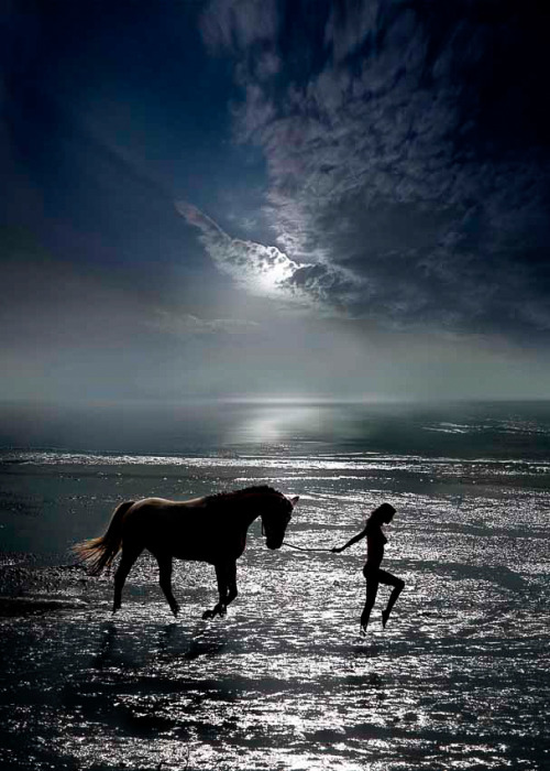 coiour-my-world - the horse whisperer … image by Igor Zenin