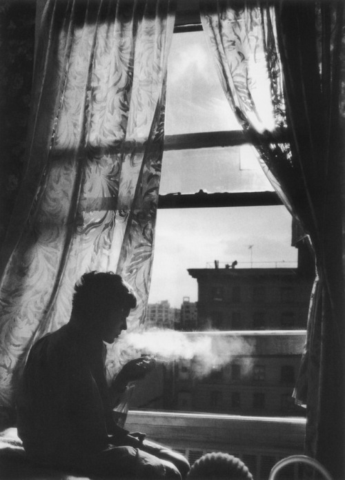 an-overwhelming-question - Donata Wenders - The Heart Is A...
