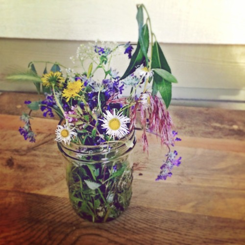 Image result for dandelions in a vase