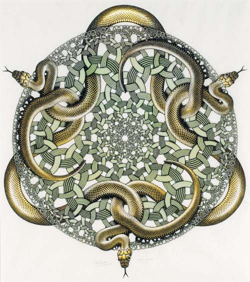 ganymedesrocks - dappledwithshadow - M.C. EscherSnakes1969… As...