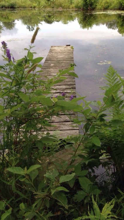floralwaterwitch - A couple of the abandoned docks Instagram...