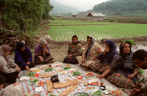 imransuleiman:Iranian women share lunch after planting...