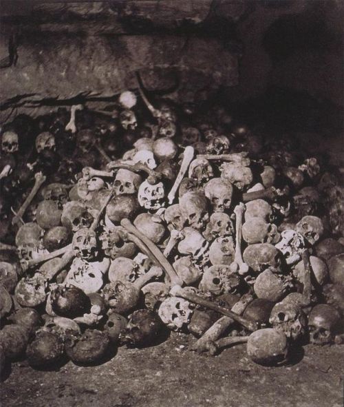 mystica-serpentem - ~ Catacombs of Paris by ...