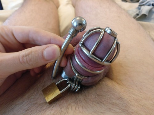 Chastity cages with urethral sound are the best. It’s like being...