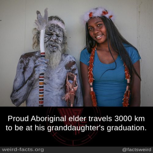 mindblowingfactz - Proud Aboriginal elder travels 3000 km to be...