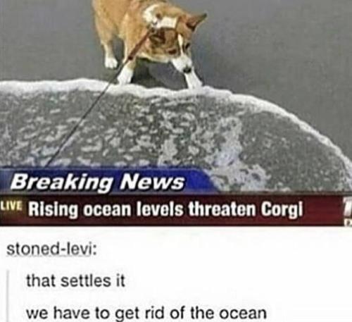 30-minute-memes - Me_irlNoooooooooo! They must adapt to the ocean...