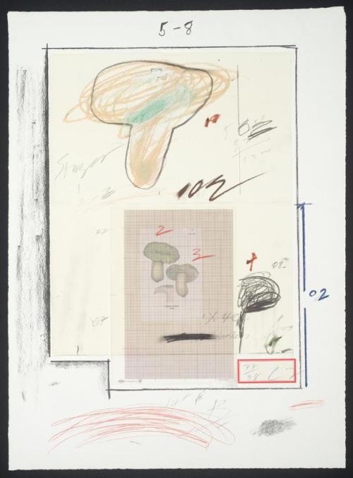 dayintonight - From Cy Twombly’s Natural History, Mushrooms...