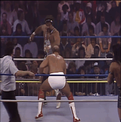 Image result for Images of Wrestlewar 1990