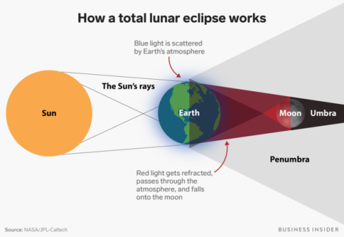 businessinsider - The longest total lunar eclipse in a century is...