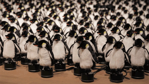 thegrinningmist - lordputin - doe - Penguin “Mirror” - they...