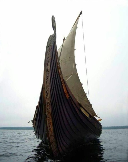 grandboute - Langskip - bateau norrois à coque en construction à...