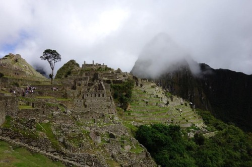 magic en la mañana.from wanderings in Machu Picchu. Jan 2017....