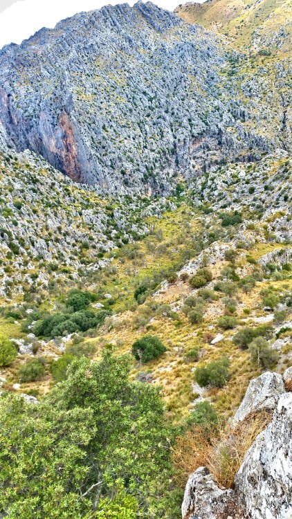#mallorca #rocks #mountain #nature