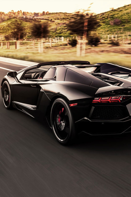fullthrottleauto:Aventador on a countryside road (by I am...