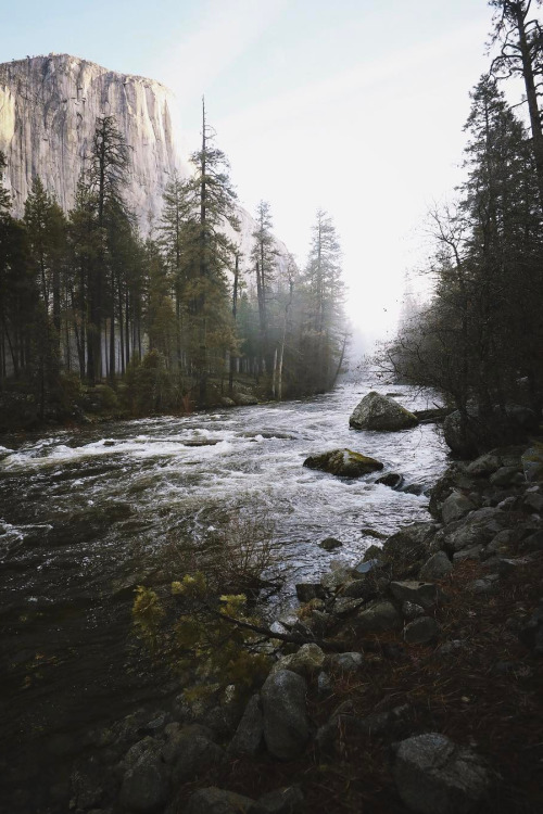 banshy:Yosemite National Park by Blaine Nadeau