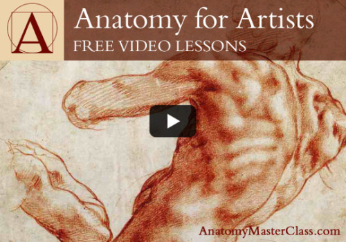 supersonicart:Anatomy Master Class Free Video...