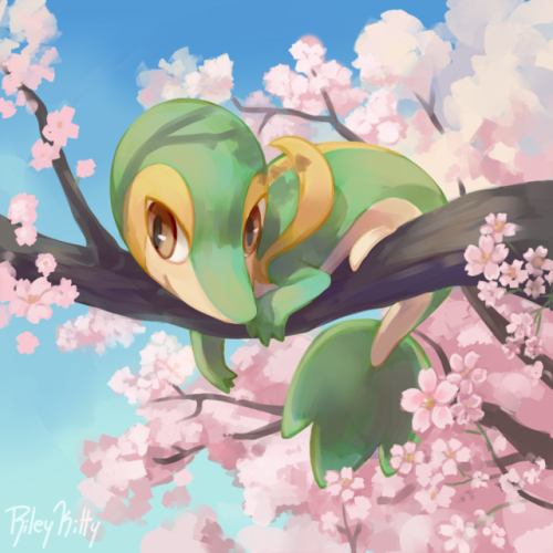 rileykitty - Snivy chills in the cherry blossoms~My favorite...