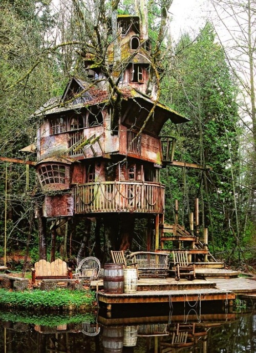abandonedandurbex - Abandoned treehouse in Redmond, Washington....