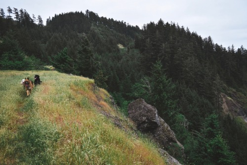 adventureovereverything:The Oregon Coast will forever hold a...