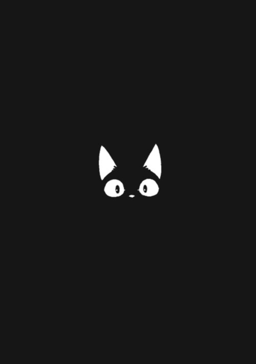 cat wallpaper on Tumblr