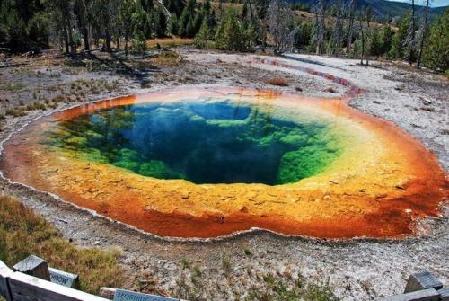reddlr-earthporn - A beautiful pool in Yellowstone National Park....