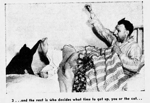 yesterdaysprint:The Miami News, Florida, August 5, 1951