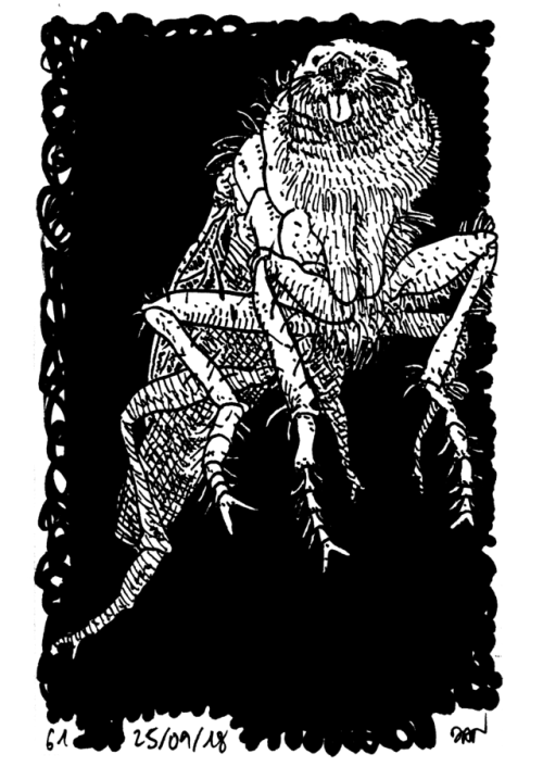 thedandraws - Eighth octem. Daily monsters from @chimeride.
