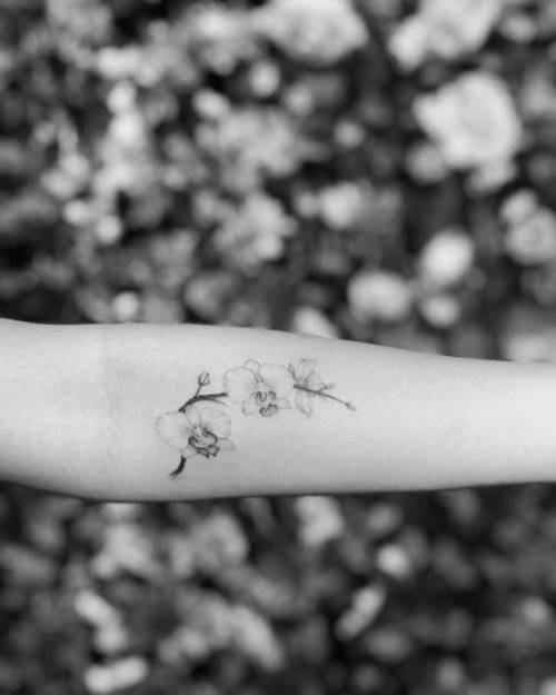 Tattoo tagged with: branch, flower, small, orchid, single needle,  wickynicky, tiny, ifttt, little, nature, inner forearm, medium size |  