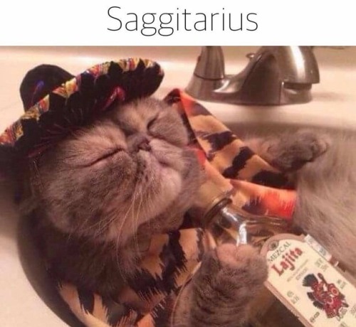 yungkiitten - gaypussyretard - cat astrologySO ACCURATE