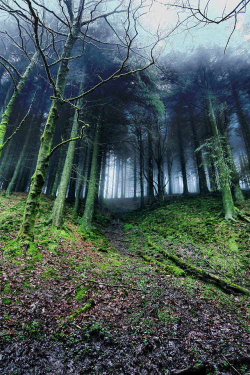90377 - Macclesfield Forest by Mark Rickaby GREAT COLORS...