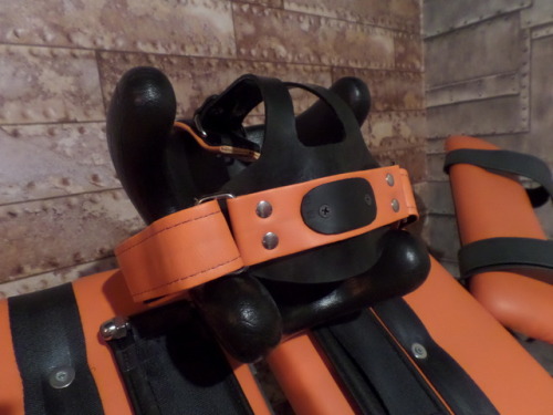 Nice details from the head restraint with bit gag for more...