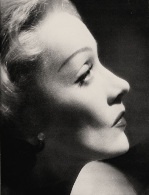 fortheloothoney - Marlene Dietrich