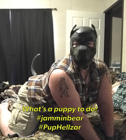 pup-chiaro - jamminbear - Whoops I tore the bed apart!Puppy...