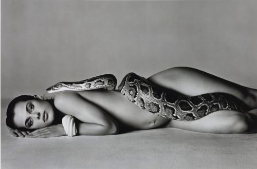 monsieurdephocas - “Nastassja Kinski and the Serpent, Los...