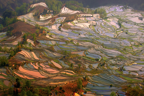 nubbsgalore:the remote, secluded and little known rice terraces...