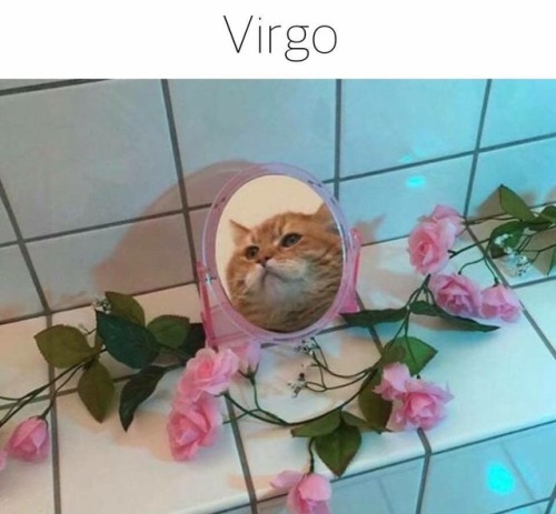 gaypussyretard:cat astrology