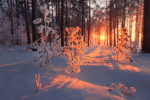 winterwonderlandthings - magic-spelldust - Алексей Угальников❄️