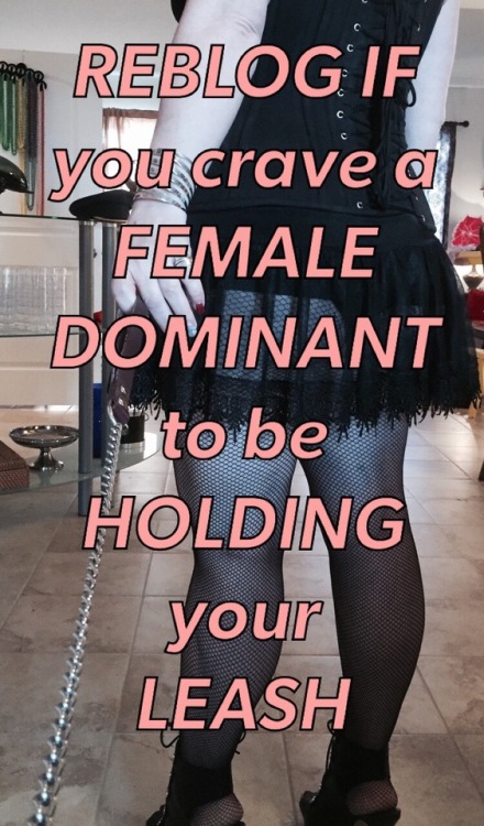 chastity-queen - promommy - REBLOG if you want a female to leash...